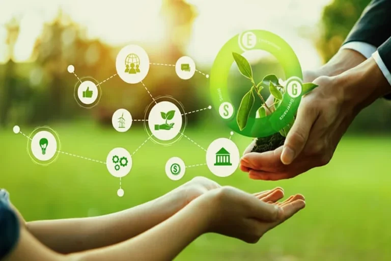 BRSR Reporting For Multinational Companies Operating In India